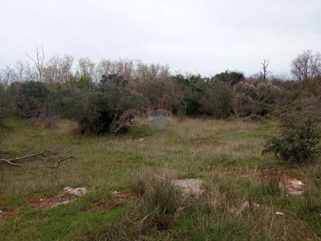 Image 5550228 - 1