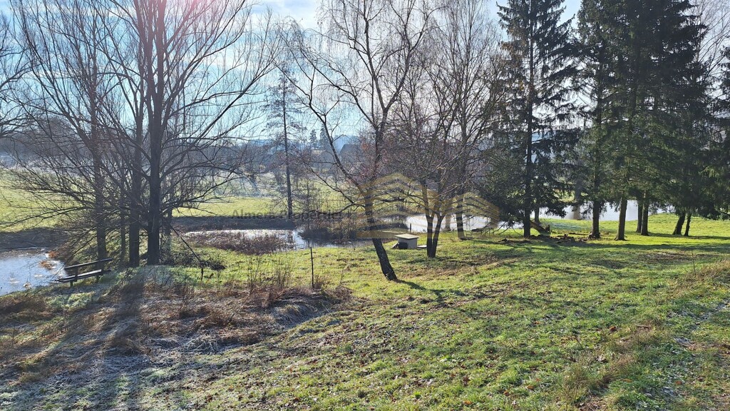Image 5551947 - 7