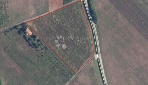 Thumbnail 5554656 - 1