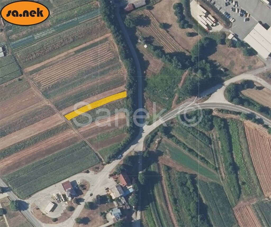 Image 5555959 - 1