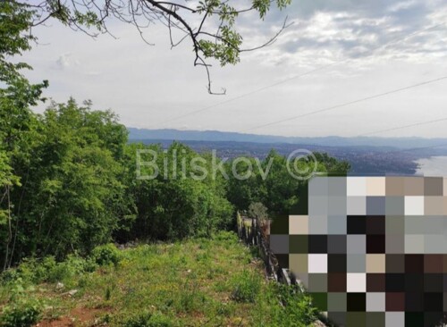 Thumbnail 5555963 - 8