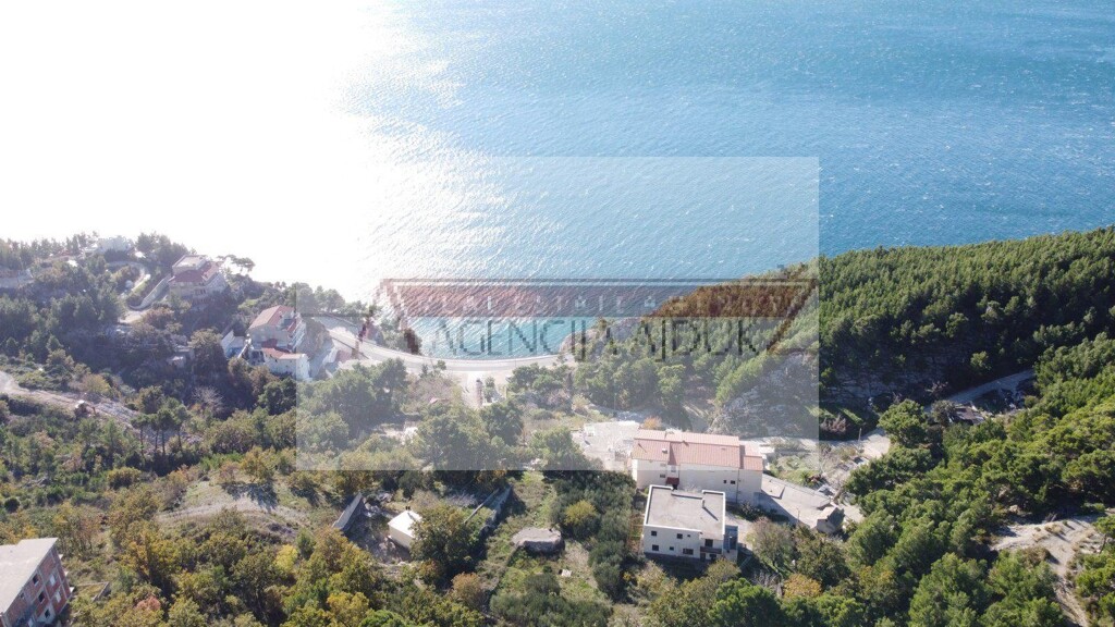 Image 5556909 - 4