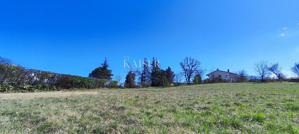 Image 5556951 - 4