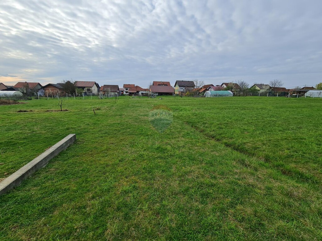 Image 5556993 - 6