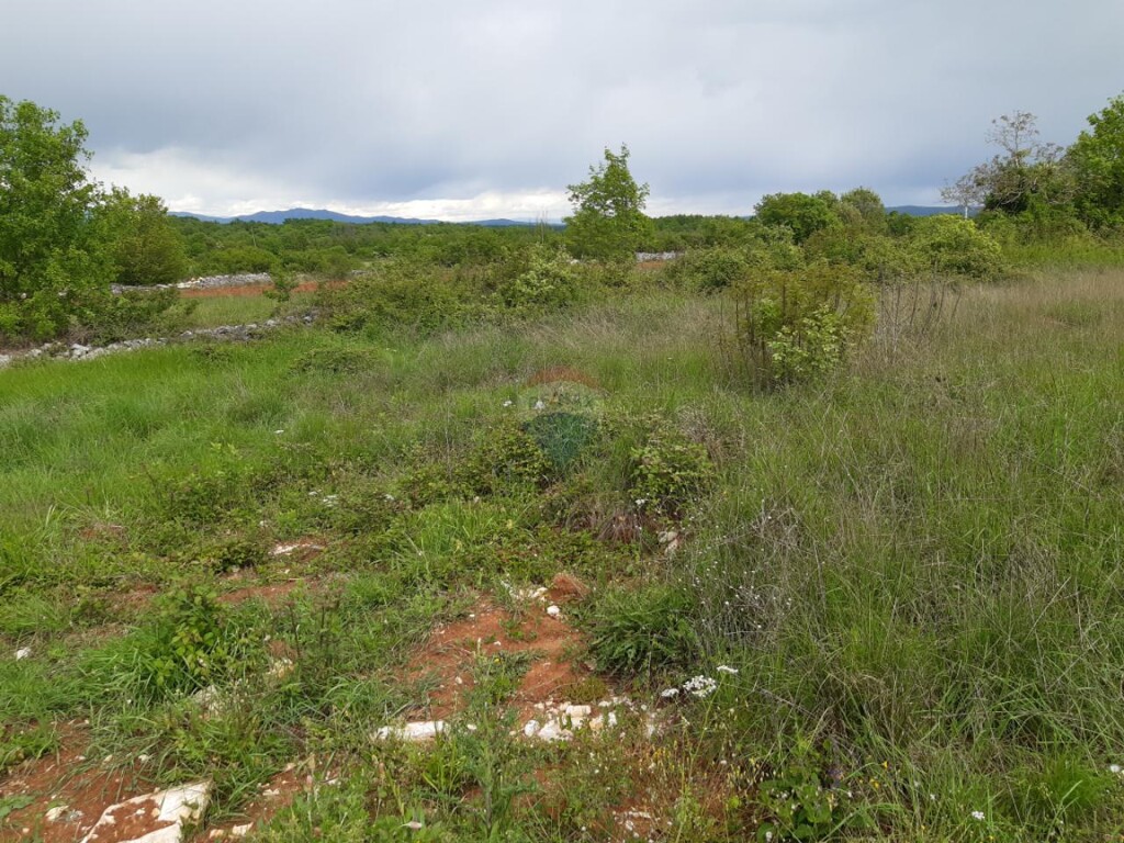Image 5557989 - 6