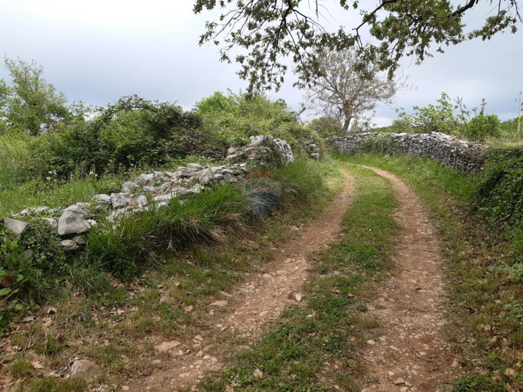 Image 5557989 - 10
