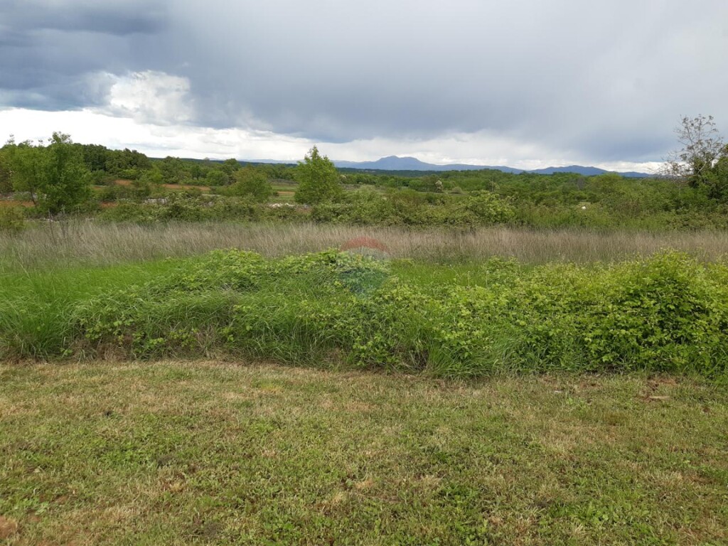 Image 5557989 - 7