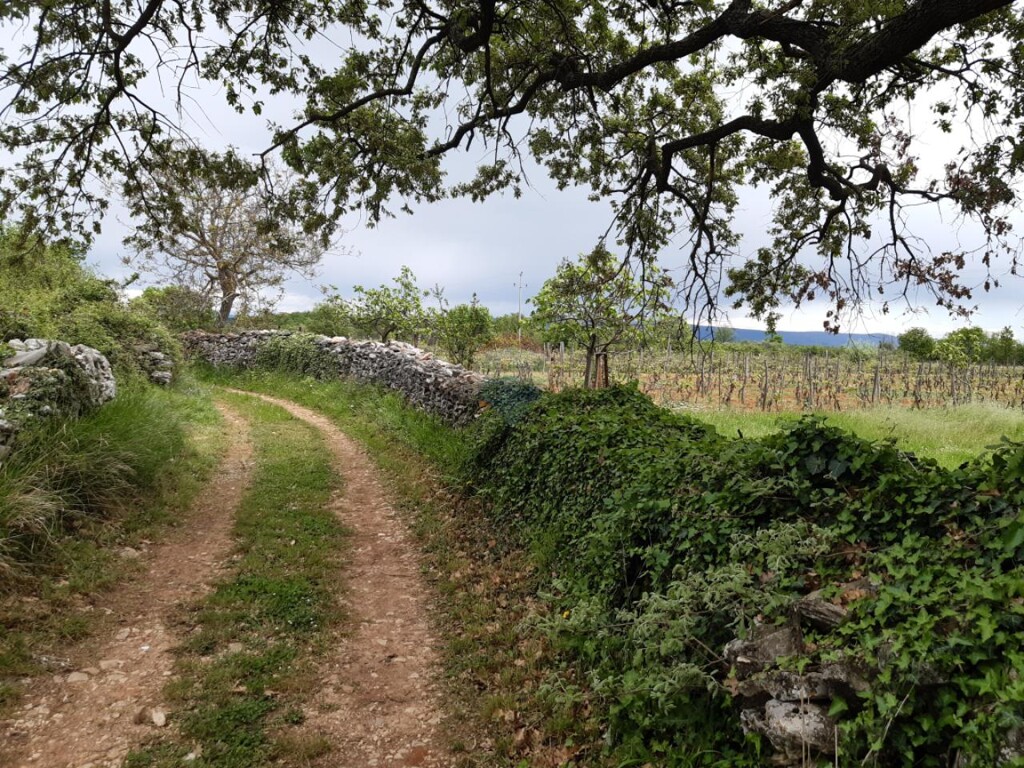 Image 5557989 - 11