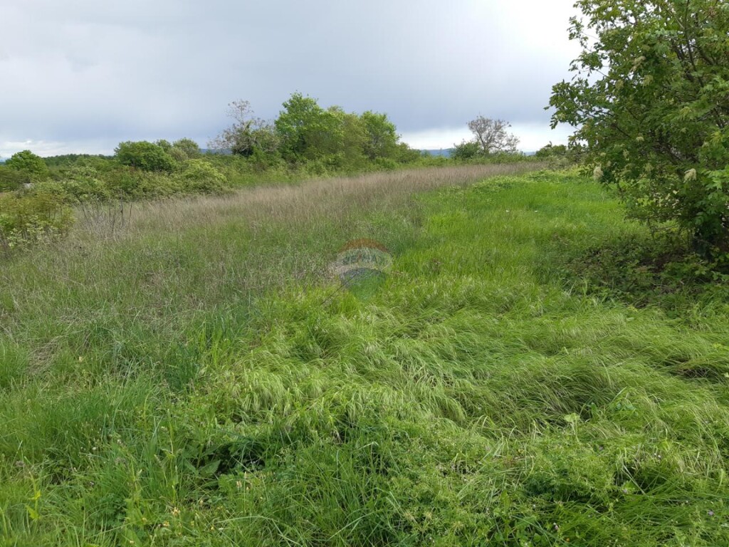 Image 5557989 - 5