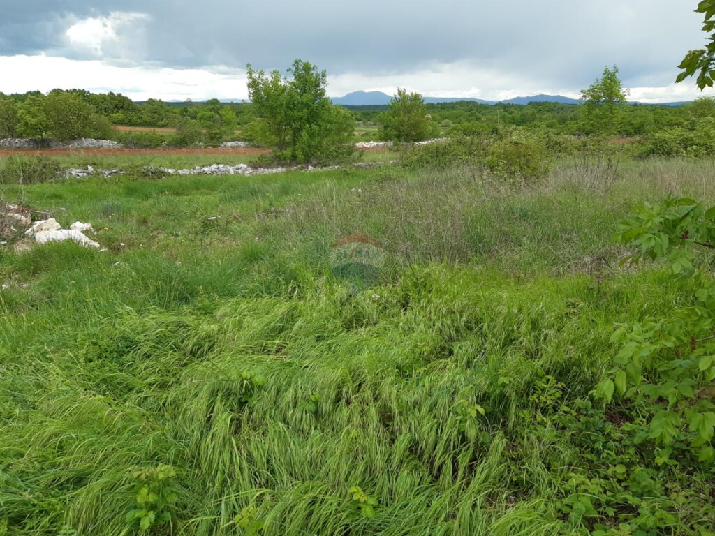 Image 5557989 - 1