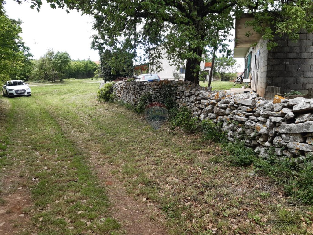 Image 5557989 - 13