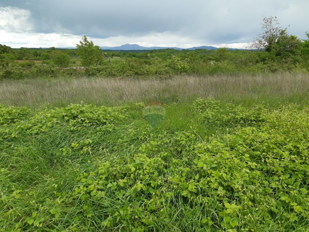 Image 5557989 - 4