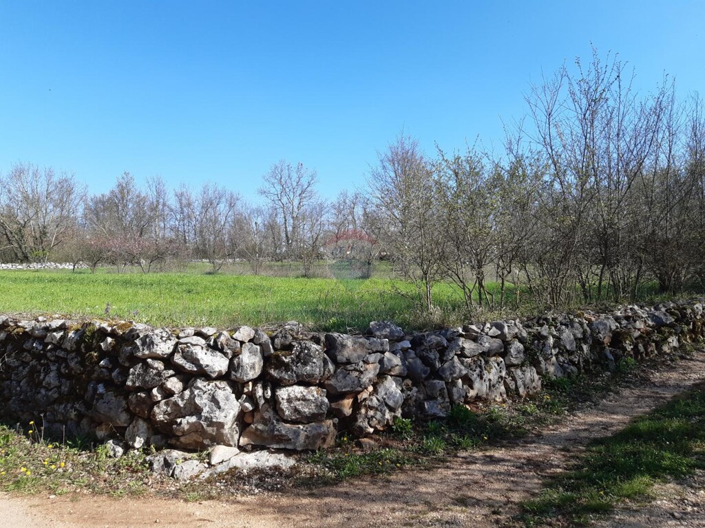 Image 5557992 - 5