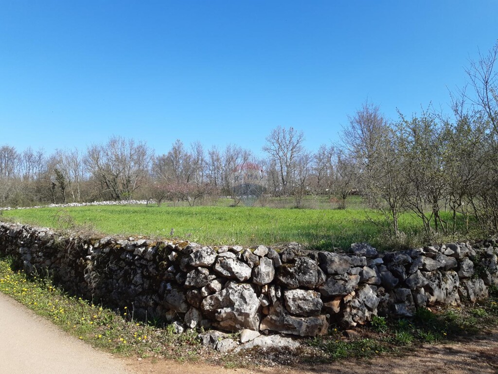 Image 5557992 - 10