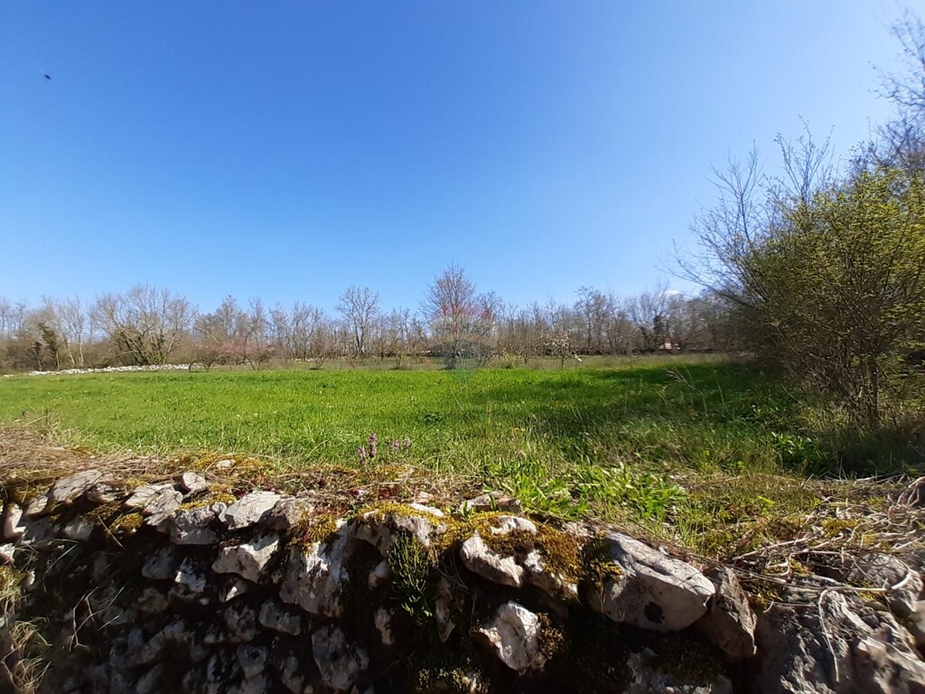 Image 5557992 - 4