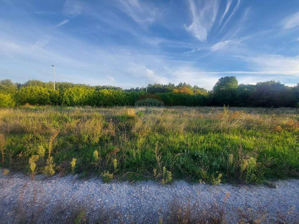 Image 5557996 - 1