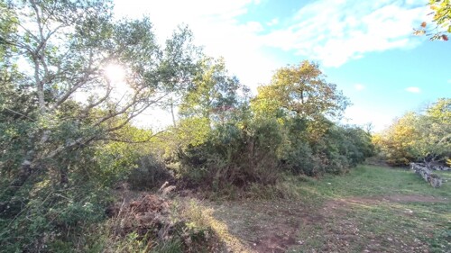 Thumbnail 5558612 - 1
