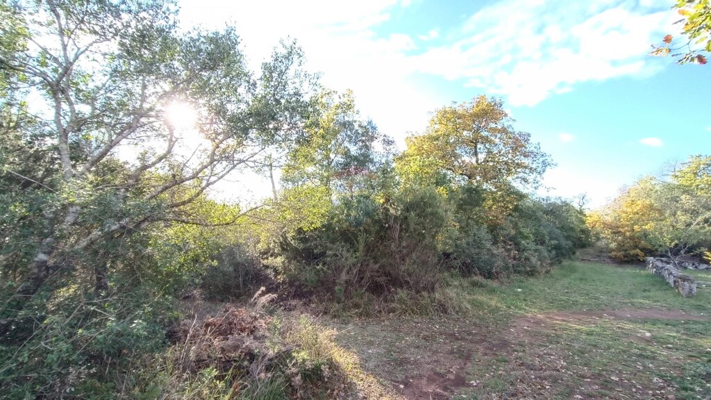 Image 5558612 - 1