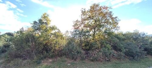 Thumbnail 5558612 - 3