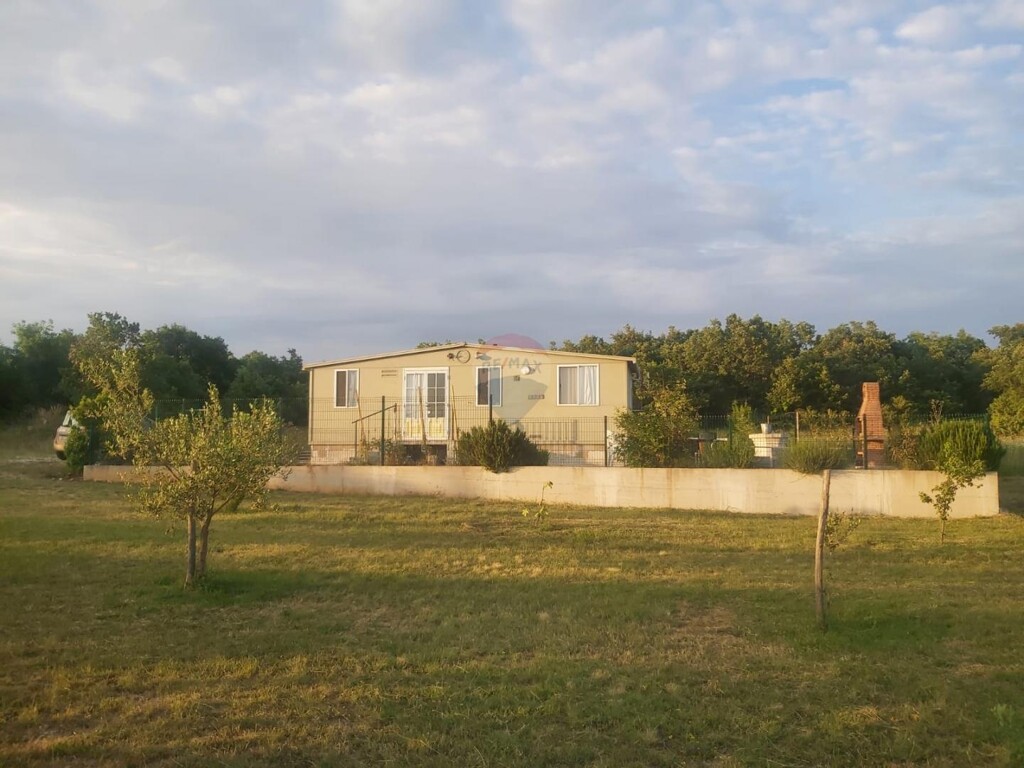 Image 5559172 - 1