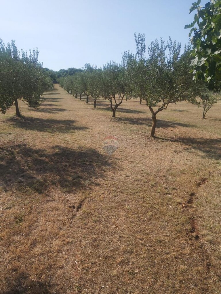 Image 5559172 - 15