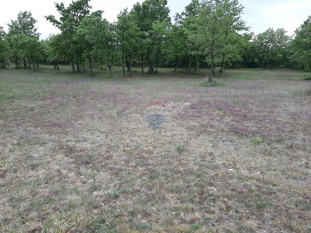 Image 5559172 - 23