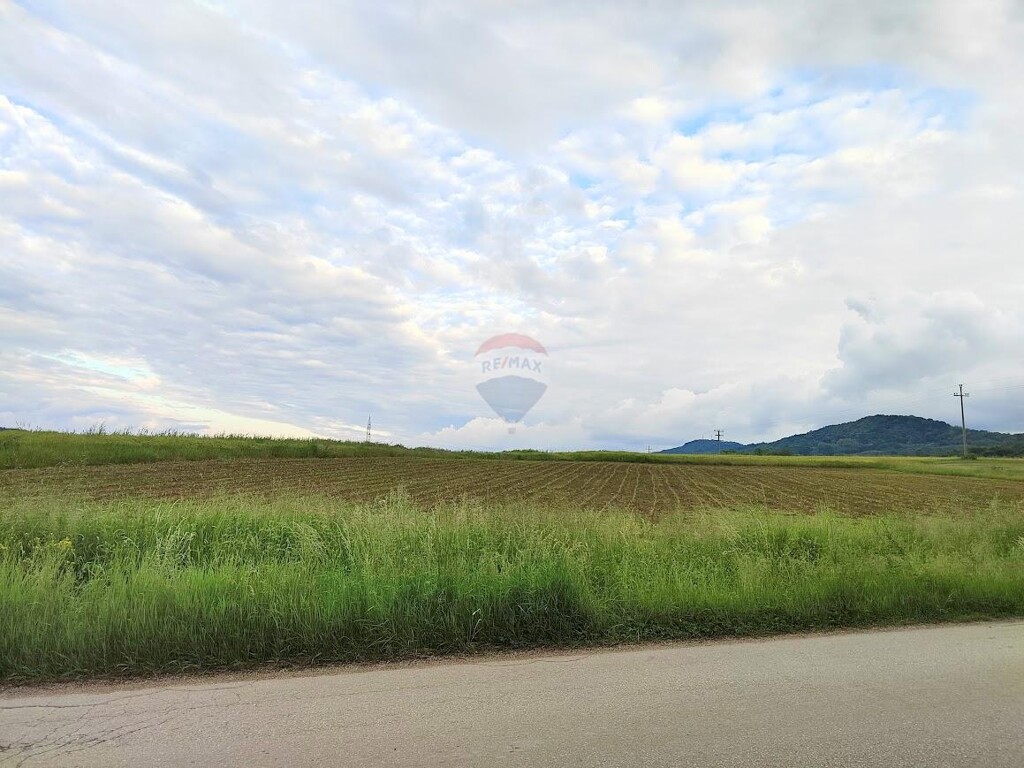 Image 5577014 - 4