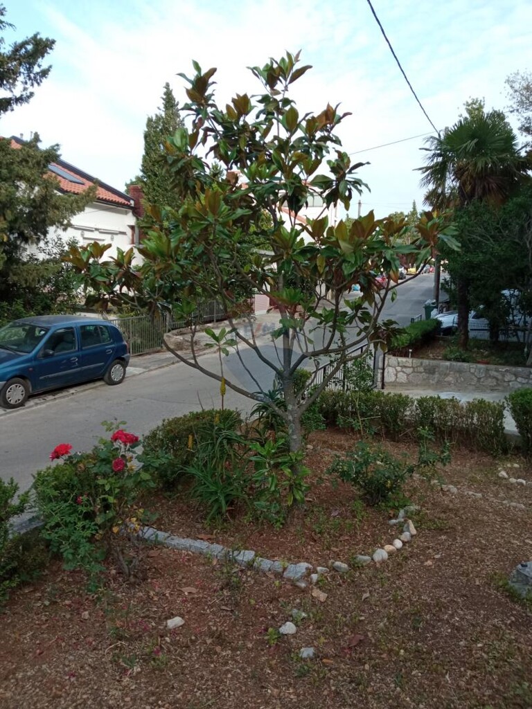 Image 5578065 - 24