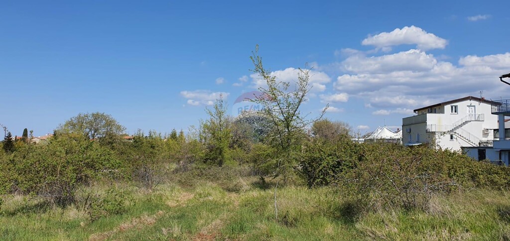 Image 5578066 - 2