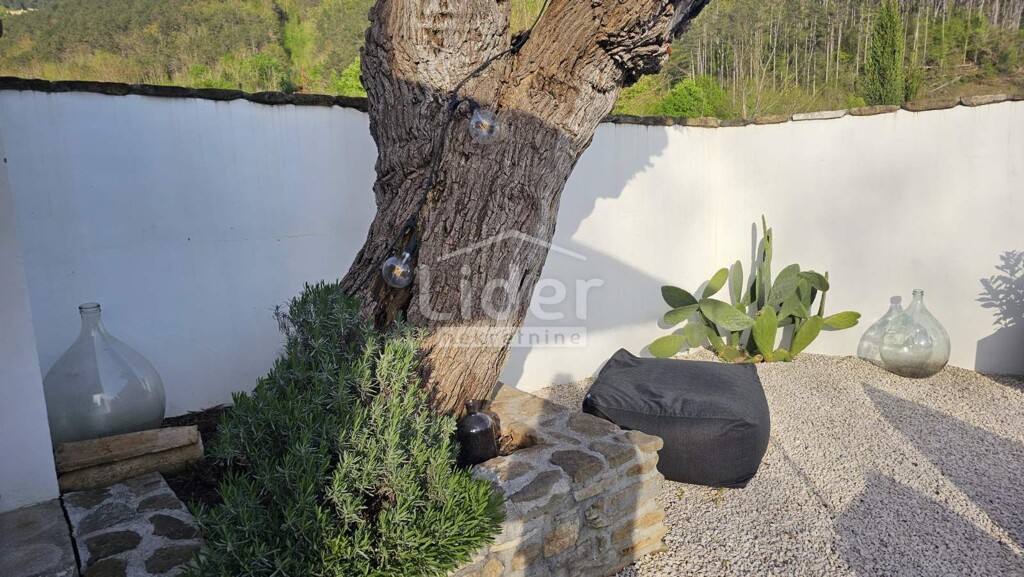 Image 5578809 - 8