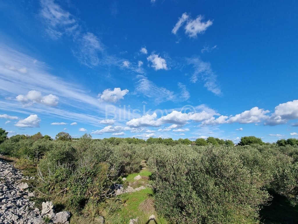 Image 5579109 - 3