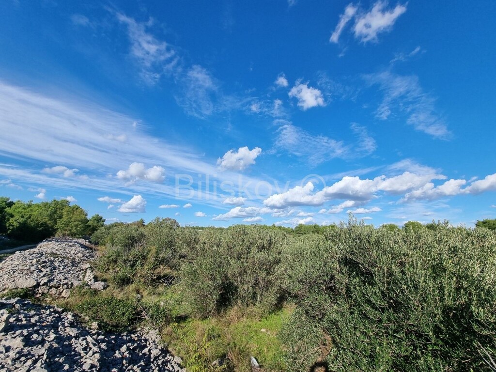 Image 5579109 - 2