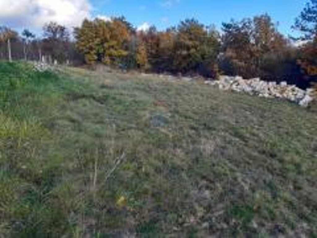 Image 5579228 - 4