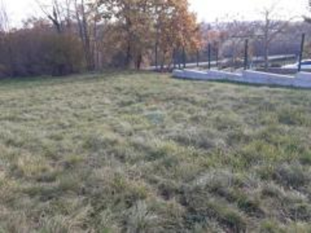 Image 5579228 - 1