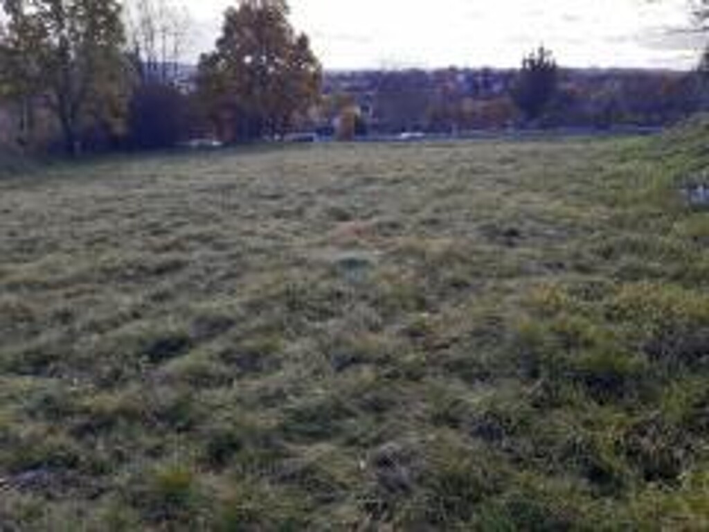 Image 5579228 - 5