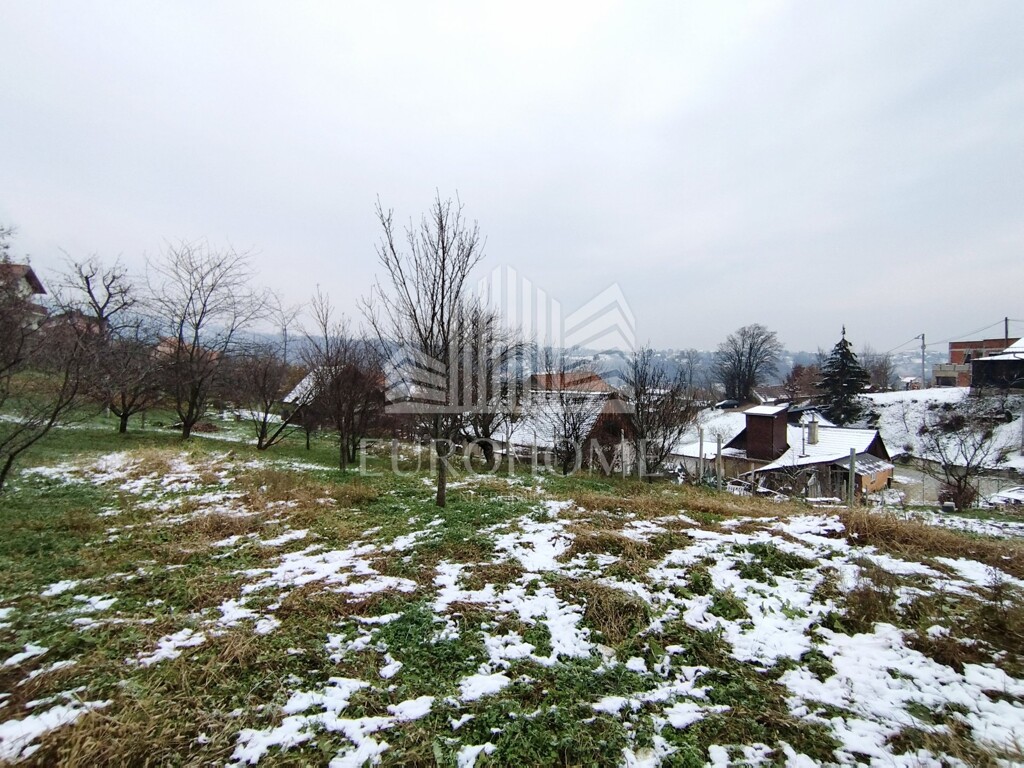 Image 5579955 - 6