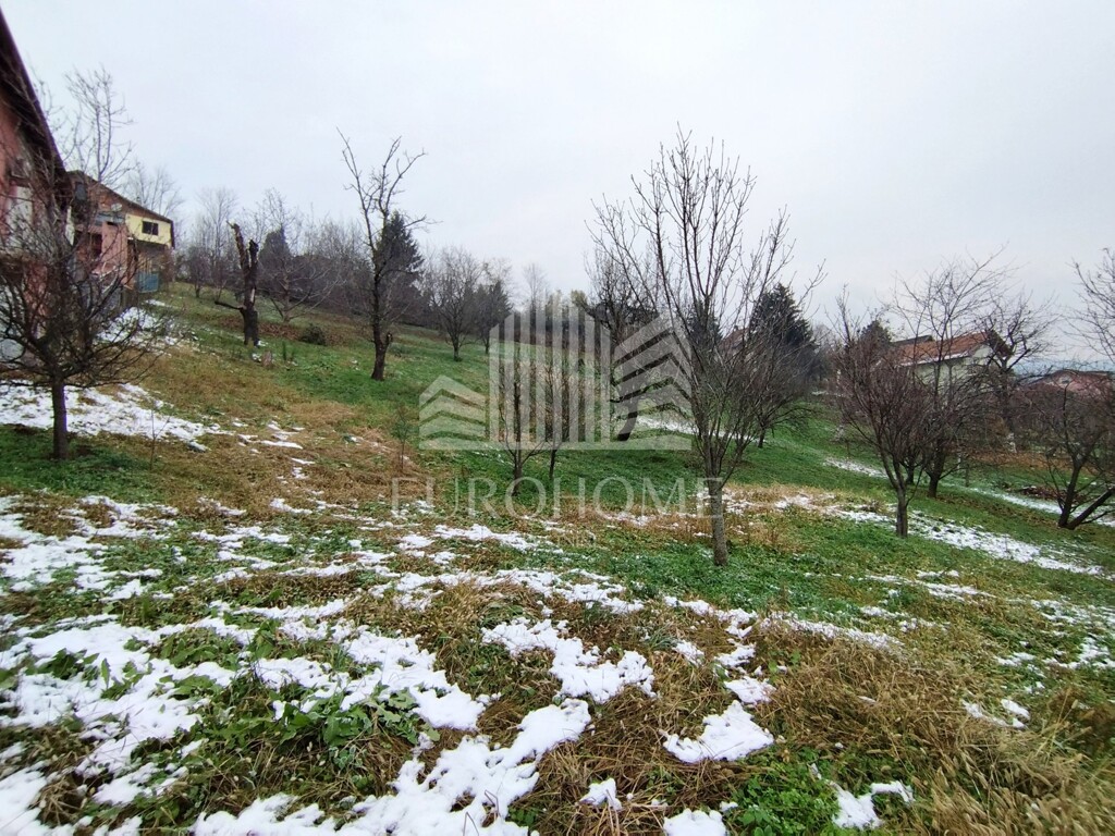 Image 5579955 - 3