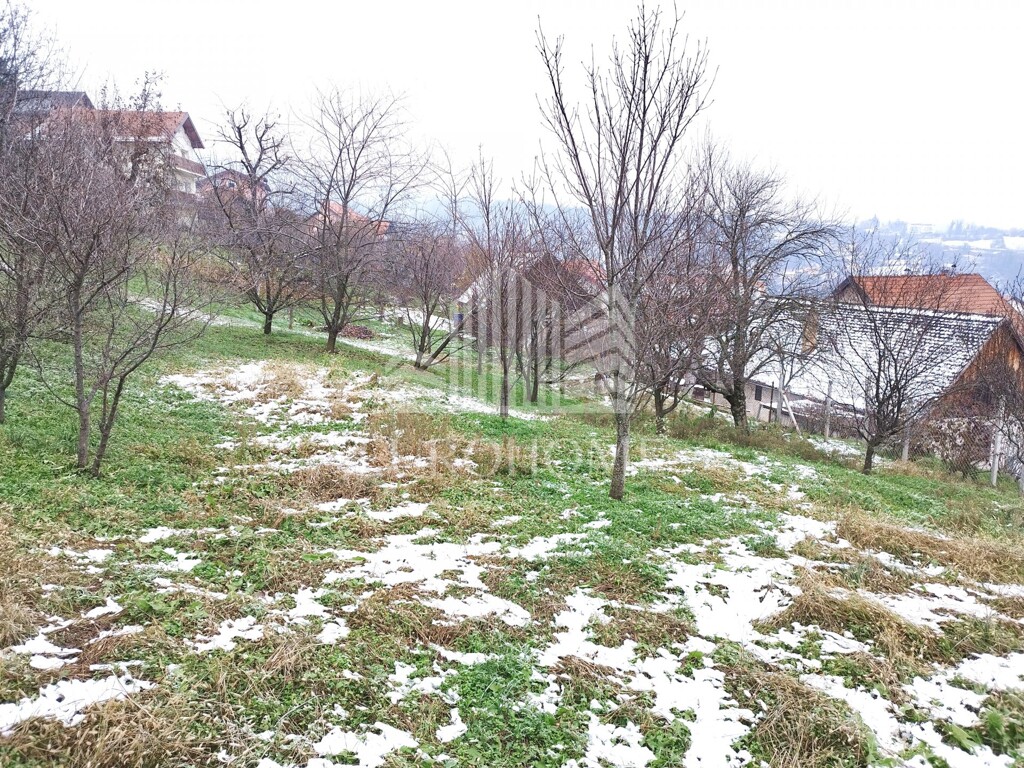 Image 5579955 - 5