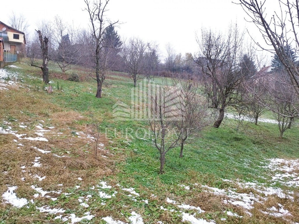 Image 5579955 - 4