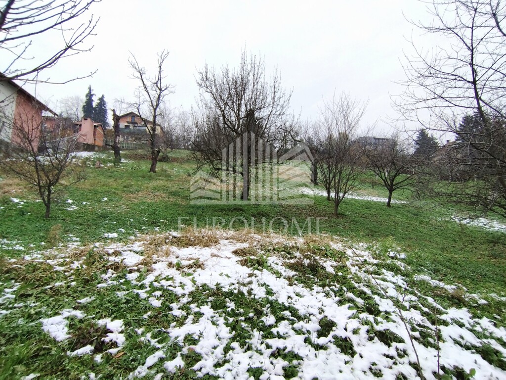 Image 5579955 - 7