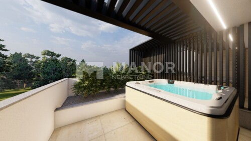 Thumbnail 5580071 - 1