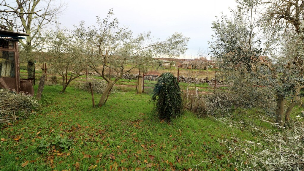 Image 5580114 - 2