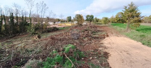 Thumbnail 5580117 - 3