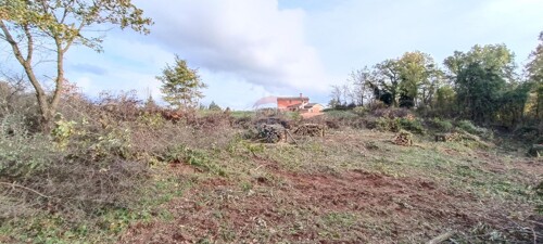 Thumbnail 5580117 - 6