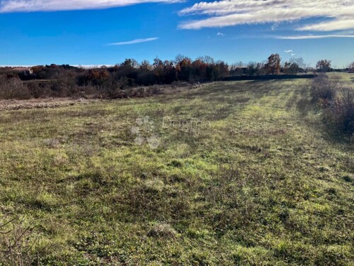 Thumbnail 5580905 - 1