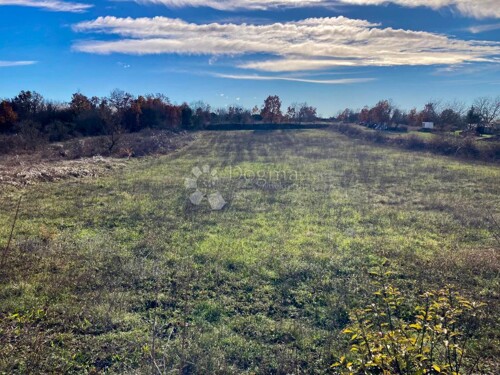 Thumbnail 5580905 - 3