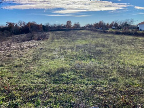 Thumbnail 5580905 - 2