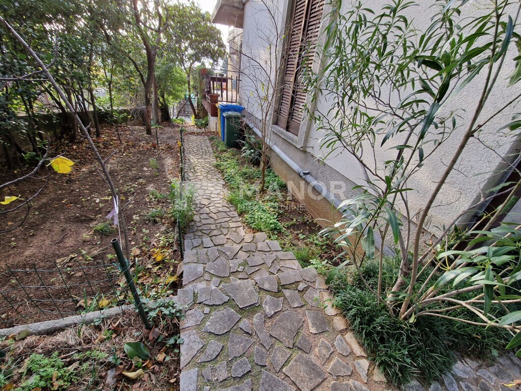 Image 5581120 - 12