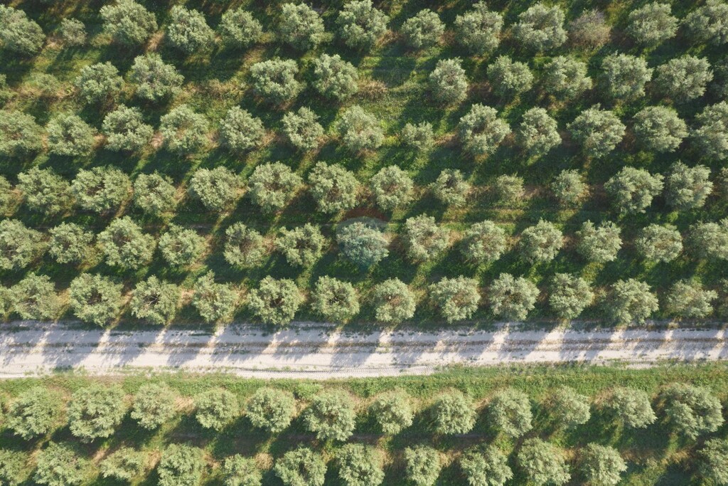 Image 5581143 - 2