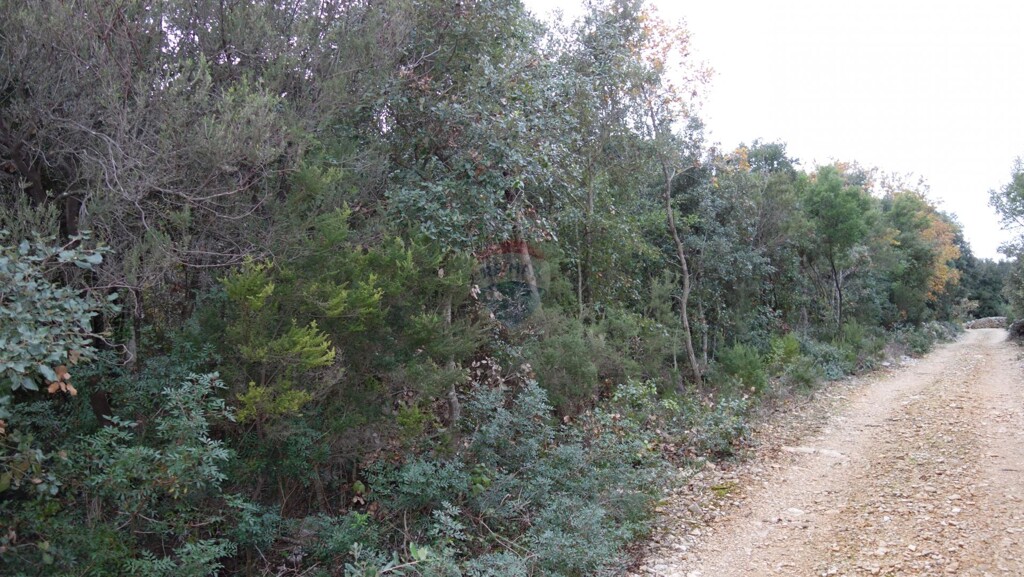 Image 5581146 - 2